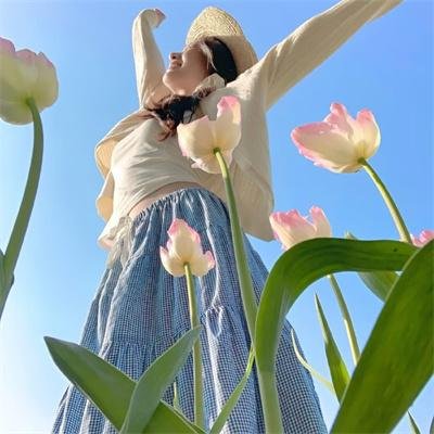猫和老鼠：绿野仙踪