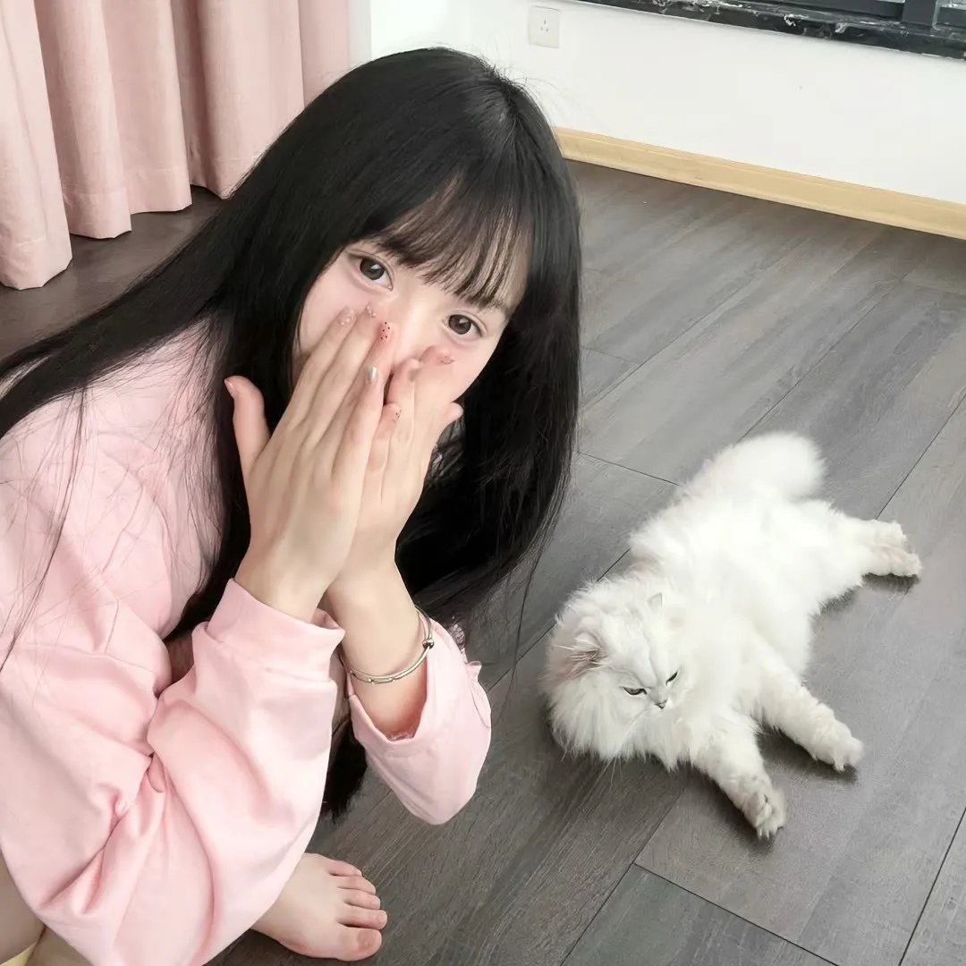 女王的哥基